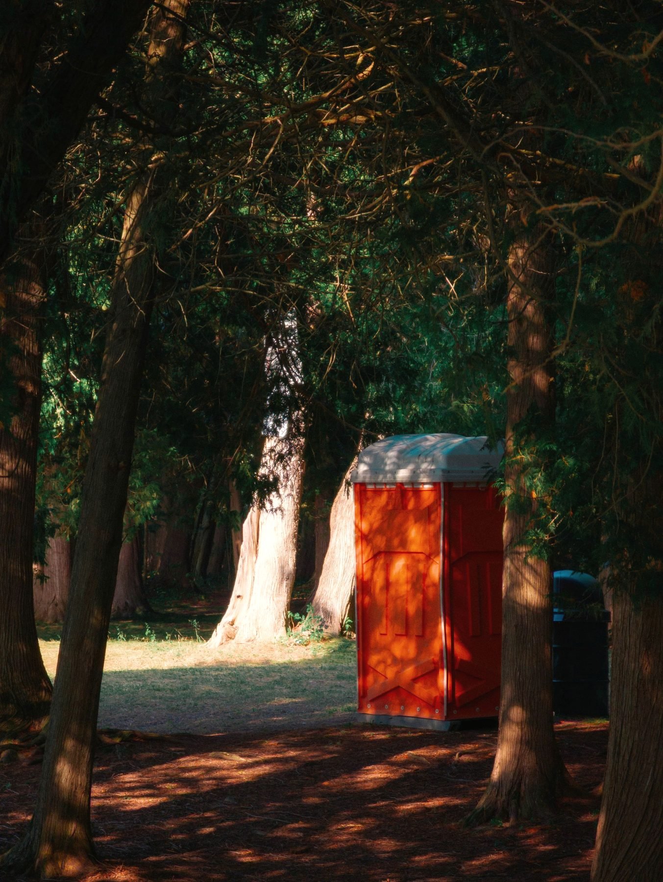A single orange portable toilet unit standing on a path under tall trees.